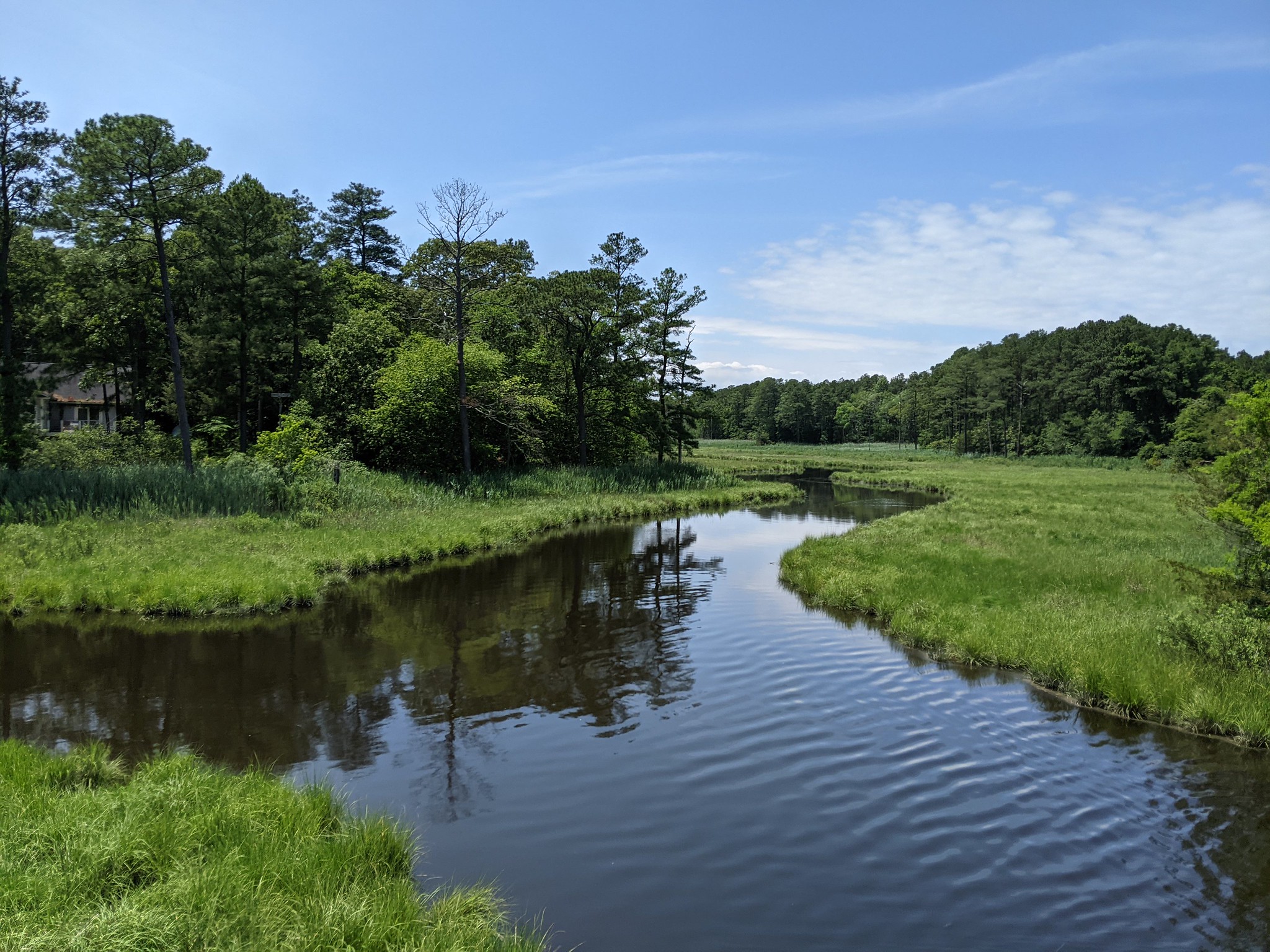 A view up a glade, made up of an open waterway fringed by green grassy marsh on either side, with wooded uplands in the distance.