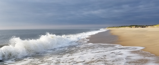 Delaware Coastal Clean-up
