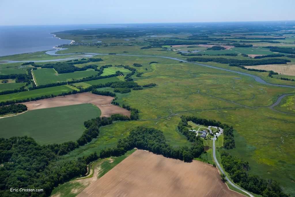 Aerial view of a marsh system with a river running through it to the Bay