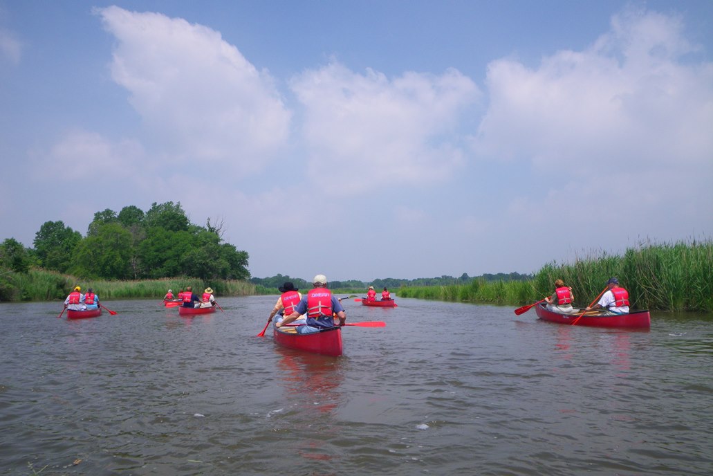 St. Jones River Canoe Trip