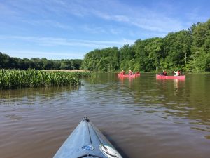 Blackbird Canoe Trips