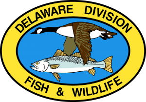 Division of Fish & Wildlife