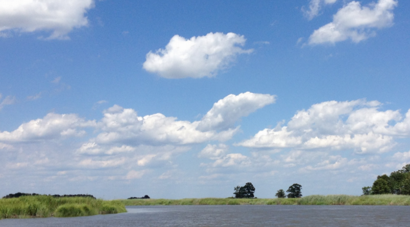 Photo of a broad tidal stream bordered by tidal wetlands under an open sky with a few clouds.