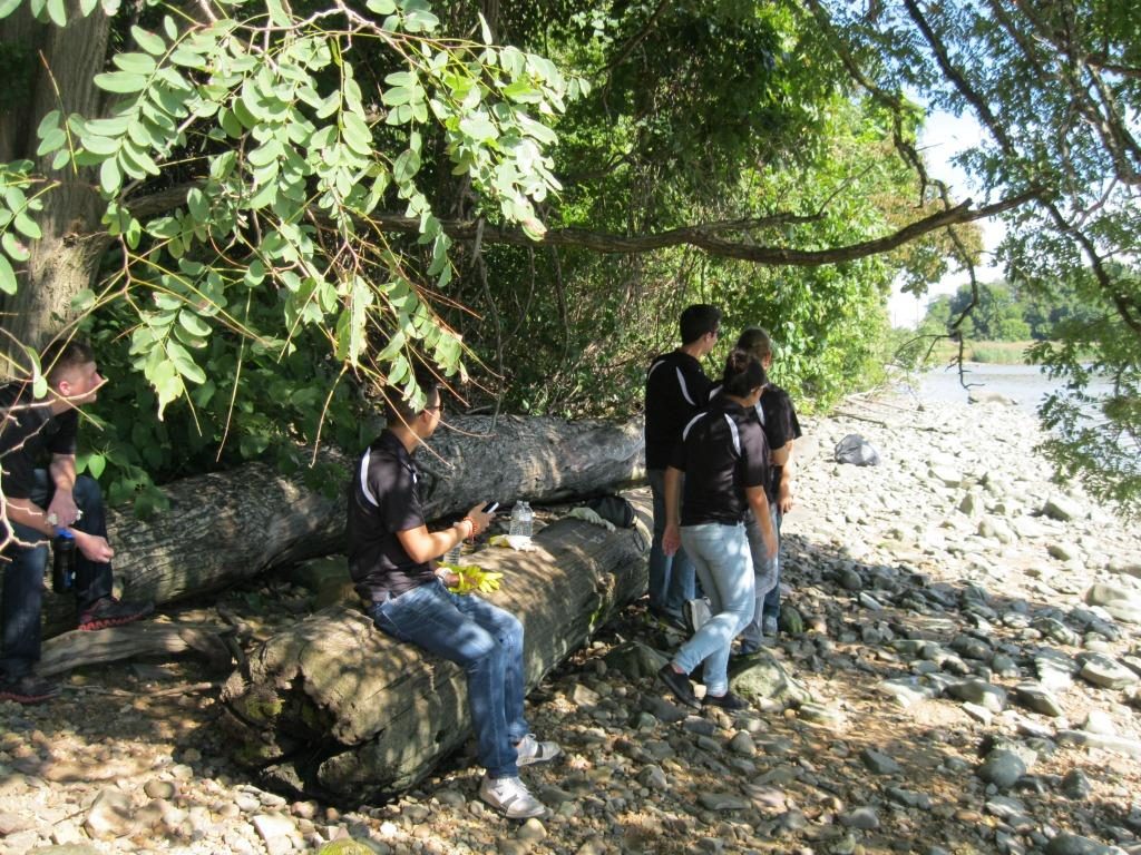 A group of volunteers look for trash on a rocky riverbank under some trees.