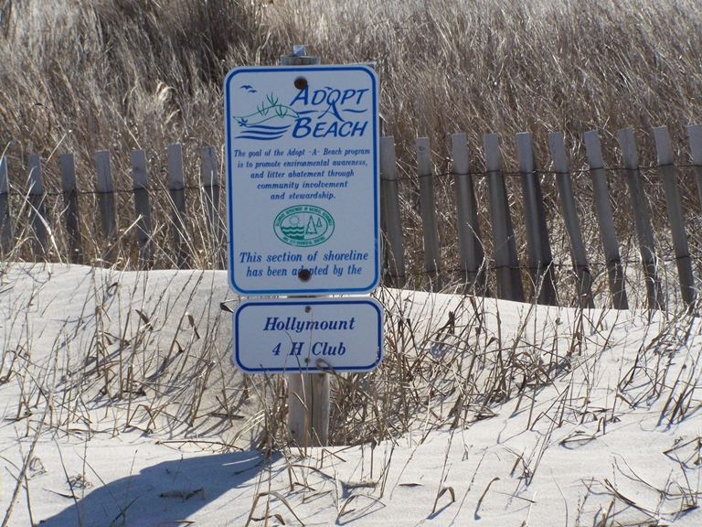 An Adopt-a-Beach sign on a post in front of some beach fencing and dune grass.