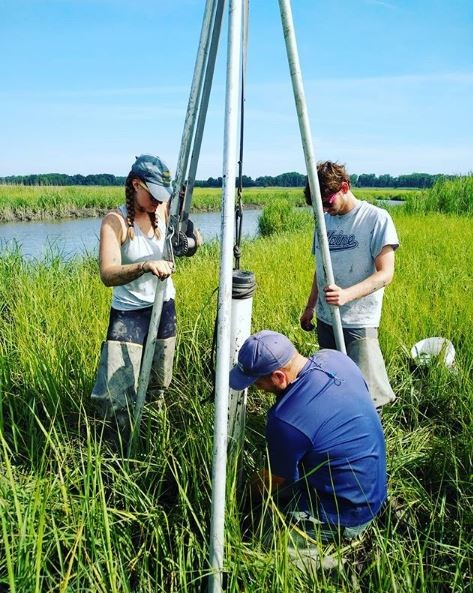 researchers working in a marsh