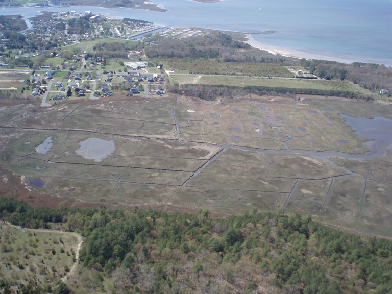 Aerial view of a coastal marsh that is subject to Open Marsh Water Management