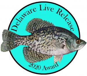 Live Release Freshwater Pin