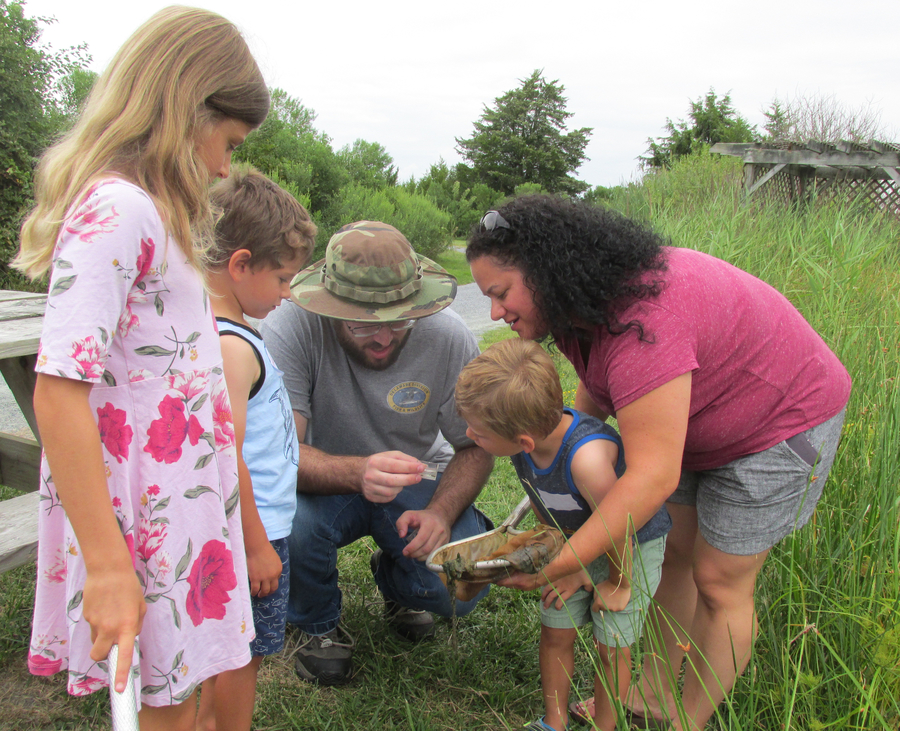 Three children and two adults examine an aquatic plant in a natural setting.
