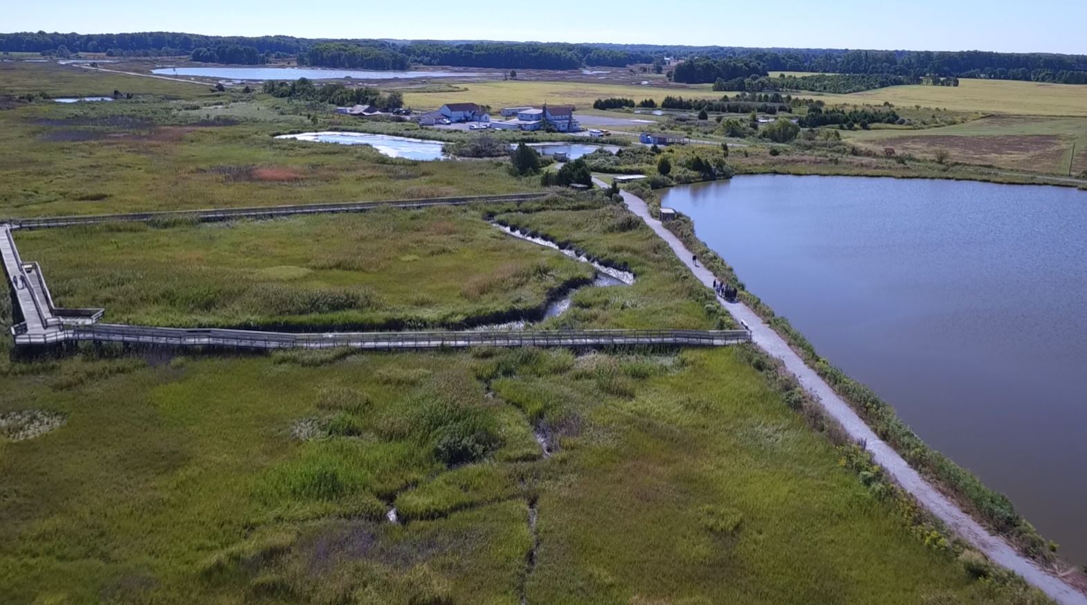 A boardwalk section from a waterside trail out into a coastal marsh and back, seen from the air.
