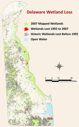 Delaware Wetlands Loss Map