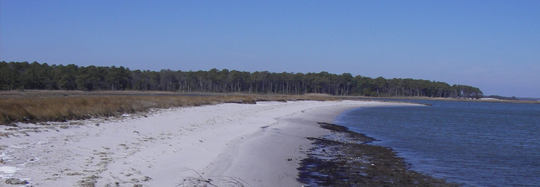 Photo of a thin beach between open water in a bay and a tidal marsh .