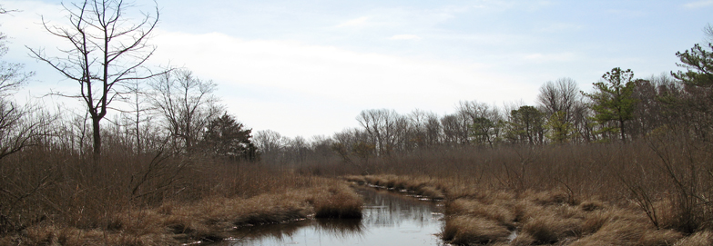 A winter landscape featuring a small river, running between marshes and trees.