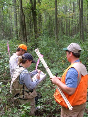Scientists monitoring a wetland