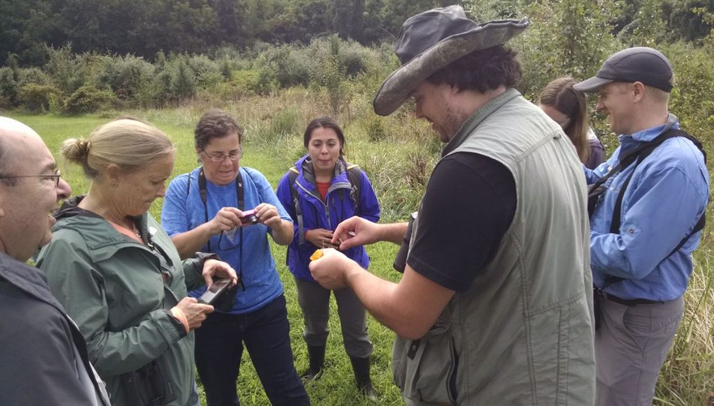 Bioblitz participants examining a plant with a naturalist