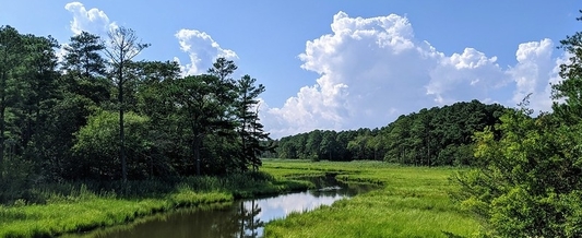 http://May%20is%20National%20Wetlands%20Month