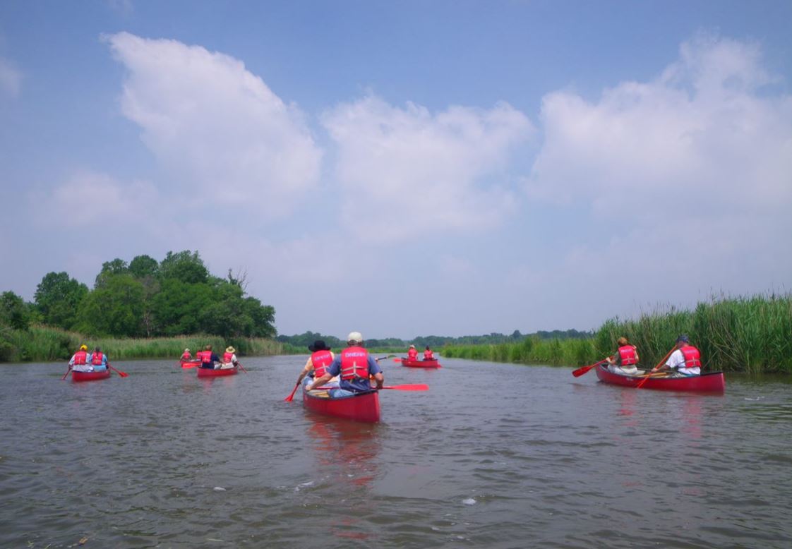 A group people paddling red canoes down a waterway.
