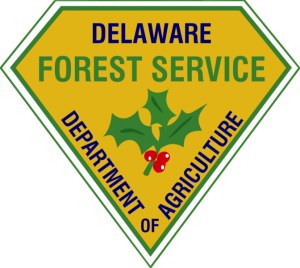 Delaware Forest Service logo