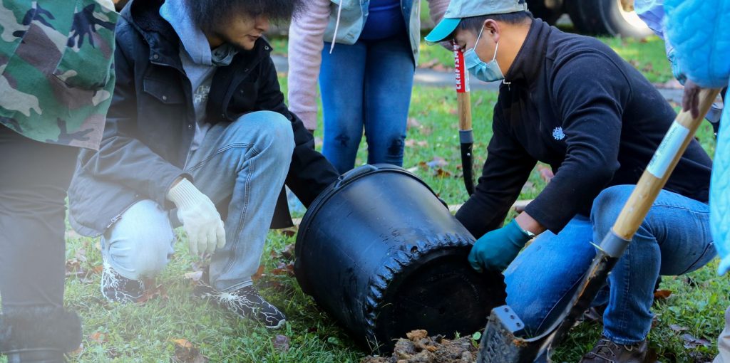 Close-up of a group planting a tree.