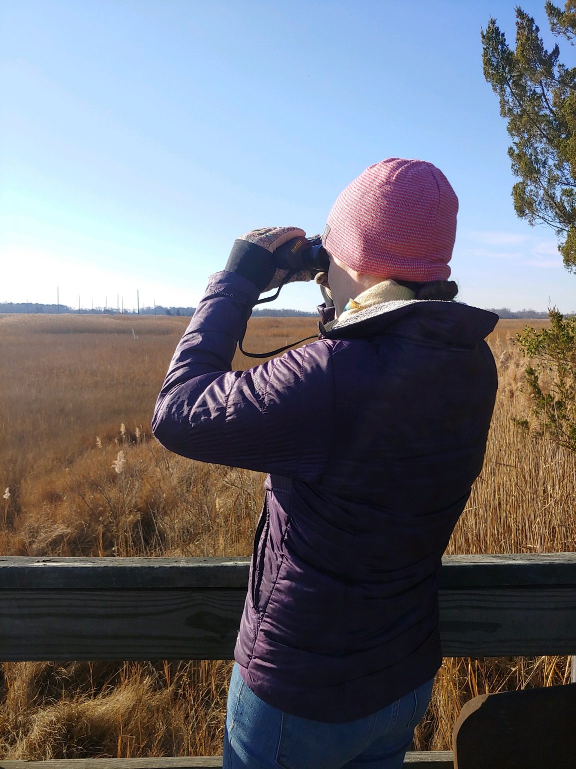 A woman in a winter coat, hat and gloves, seen from behind, is looking out across a wetland area through a pair of binoculars.