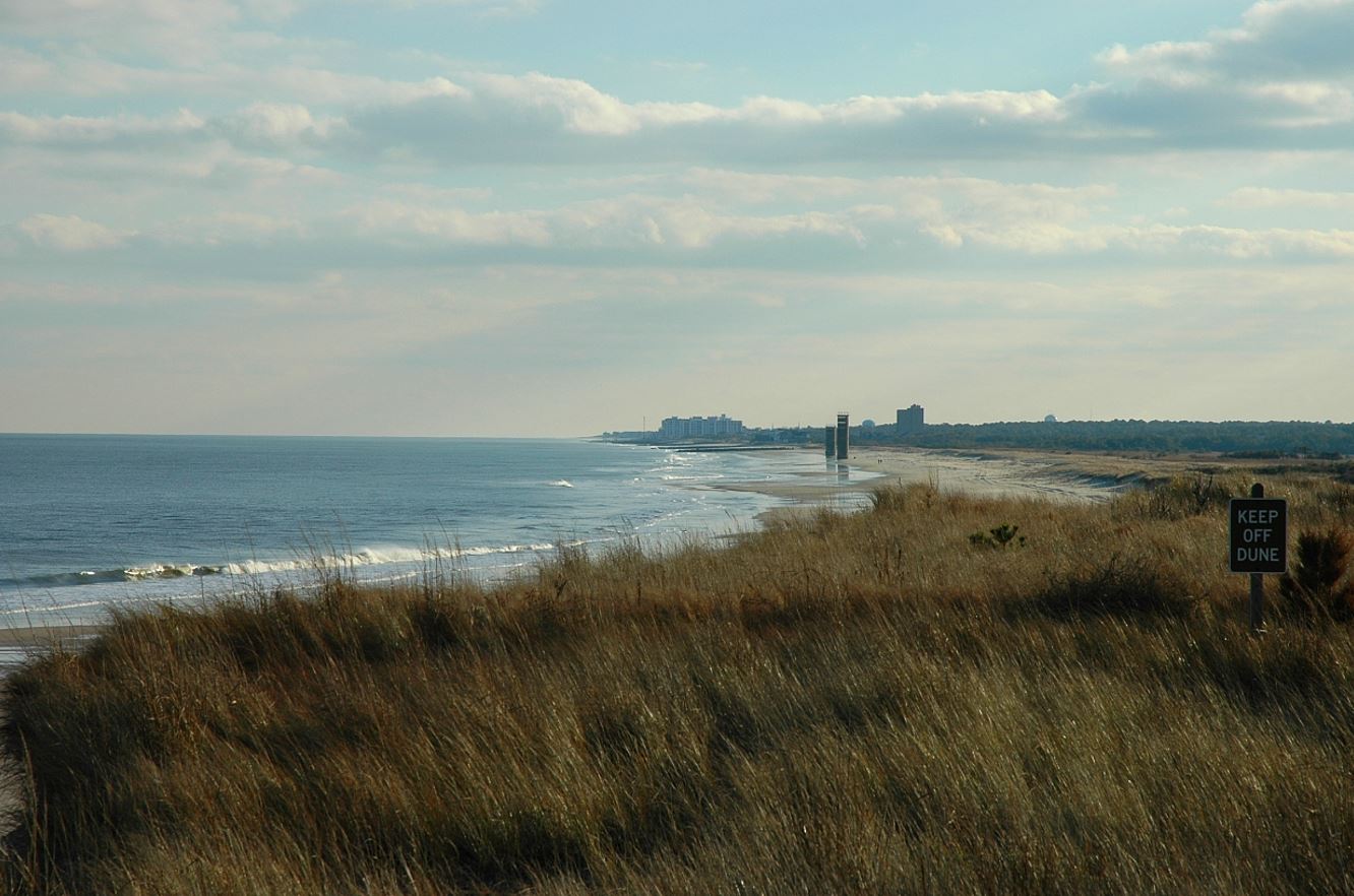 View down the Atlantic ocean coast of Delaware, with dunes in the foreground, a stretch of beach, and a small city in the distance. 