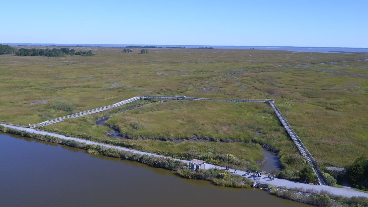 An aerial view of a wetlands boardwalk.