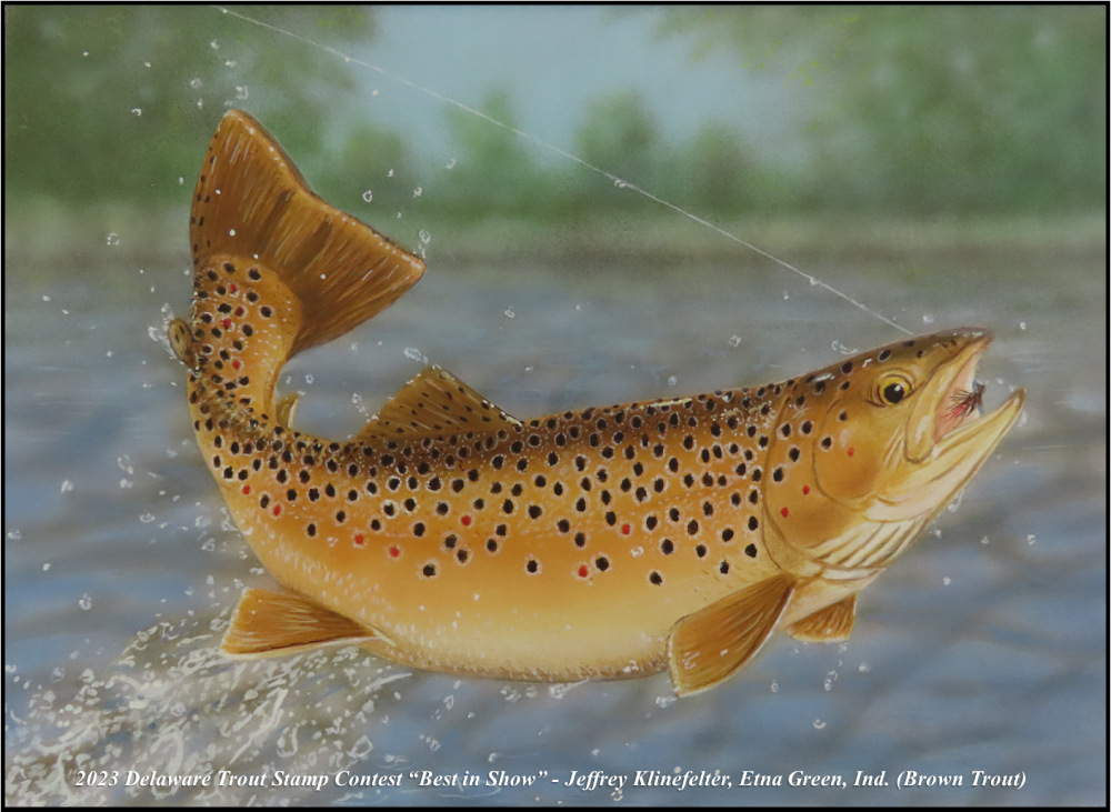The 2022 trout stamp contest winning artwork. A trout taking a lure.