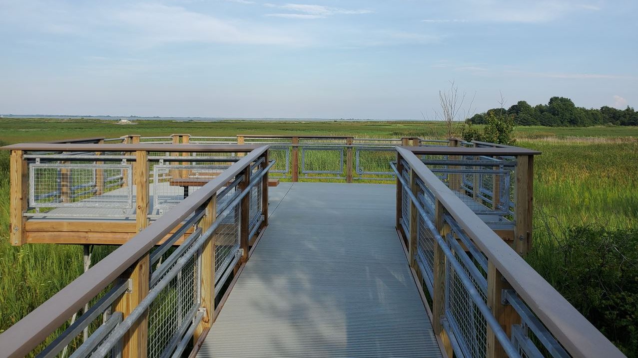 a view out over a wetland area from an observation deck.