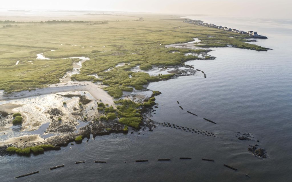 An aerial view of a marshy shoreline protected by a set of living shoreline structures.