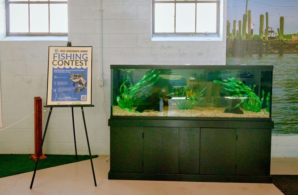 2023 fishing contest poster beside a fish tank