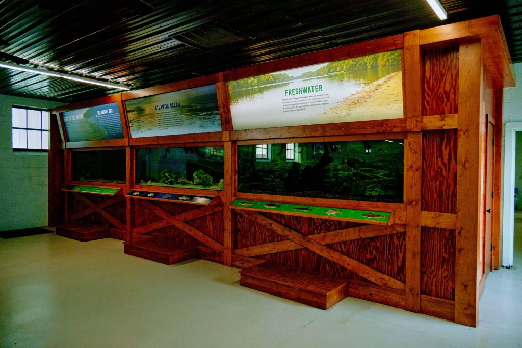 Fish tanks at the DNREC Building at the State Fair