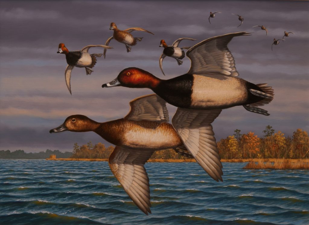 Painting of two ducks in flight.