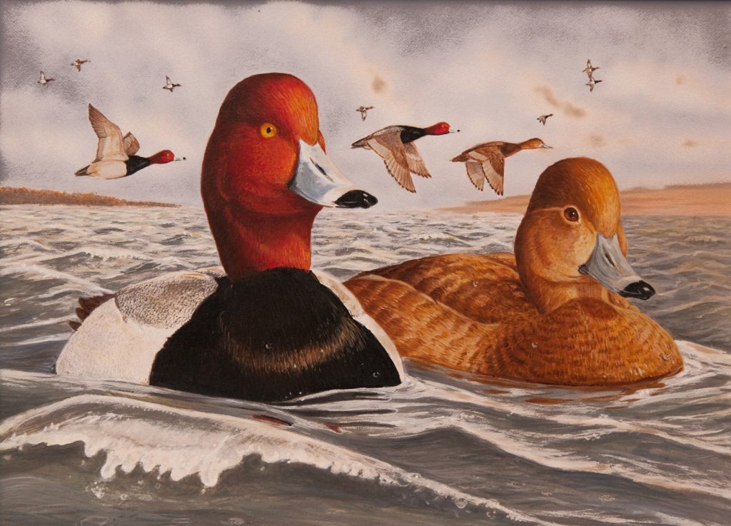 Panting of two ducks in the water.