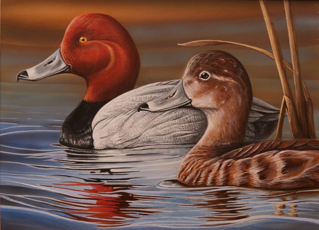 Painting of two ducks on the water. 