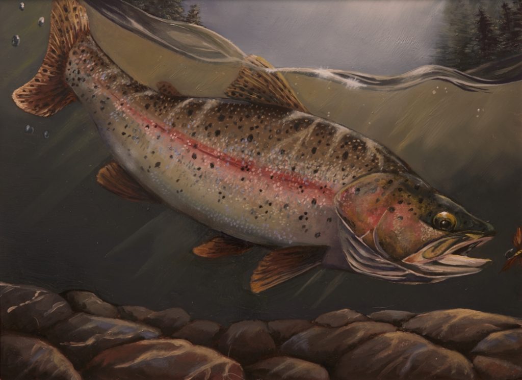 painting of a rainbow trout