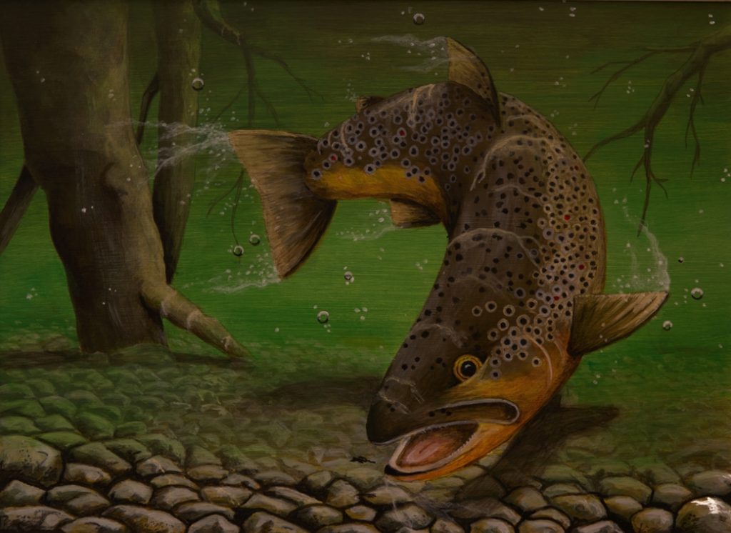 Painting of a brown trout