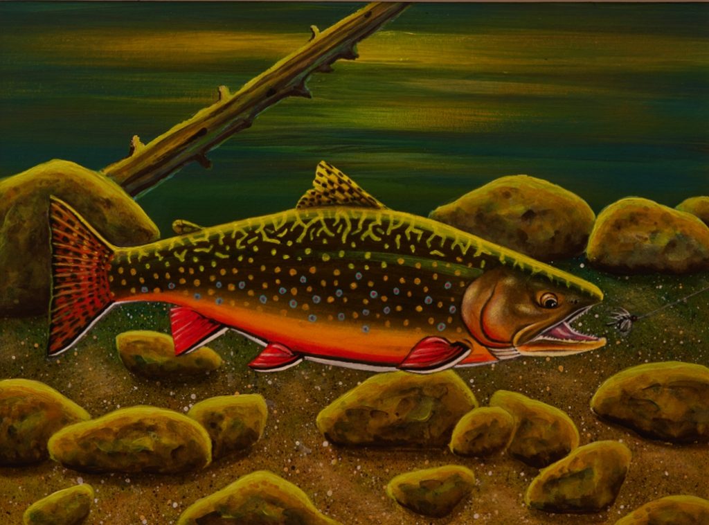 painting of a brook trout