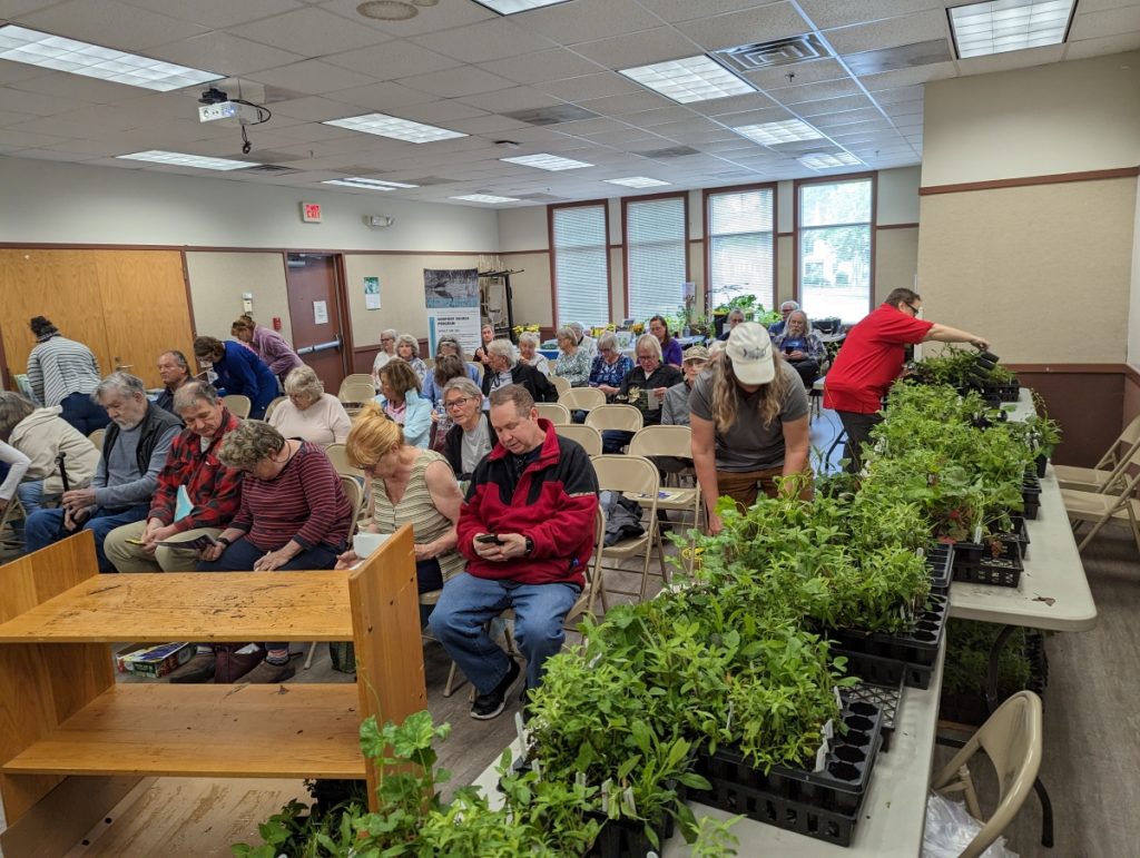 A group of people sit in a library conference room with trays of plants on tables.