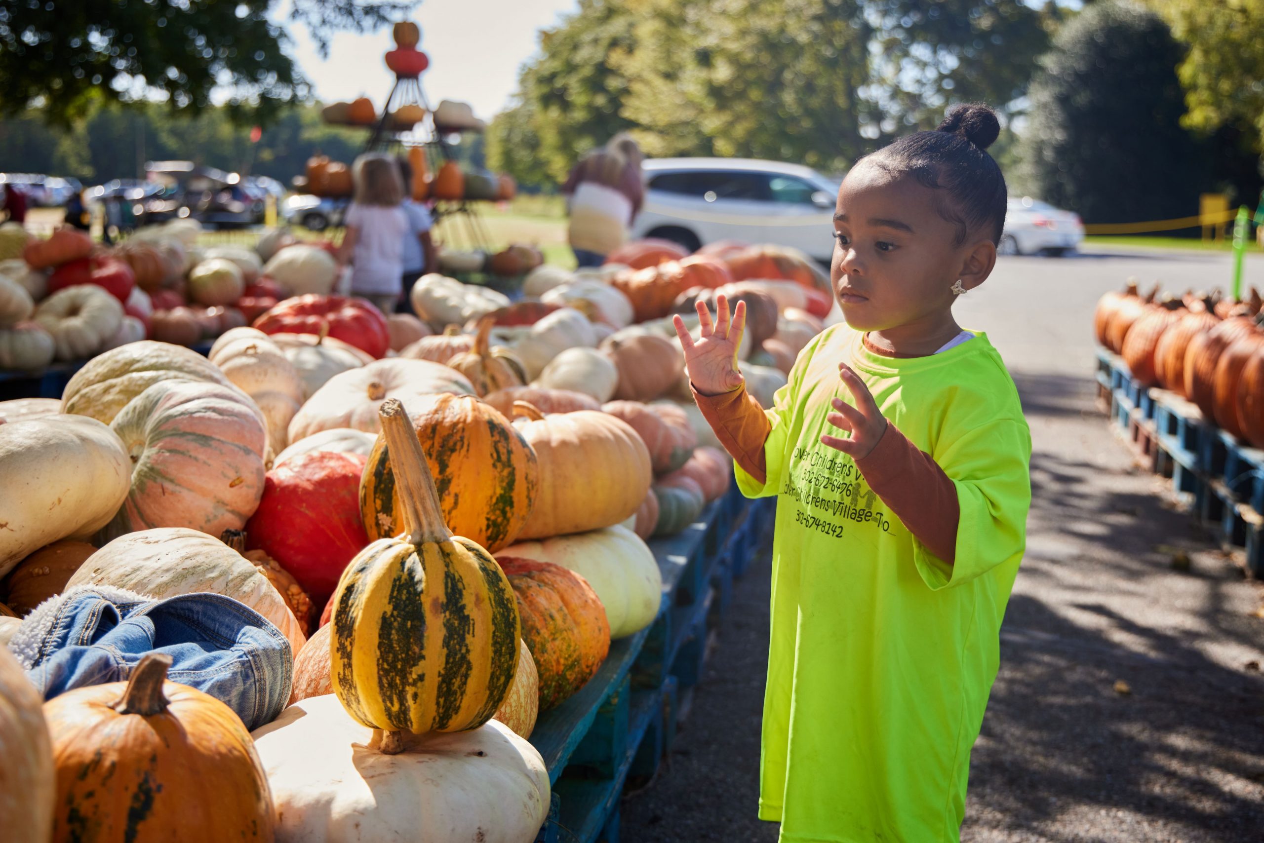 A young girl looking at the selection of pumpkins at Fifer Orchards.