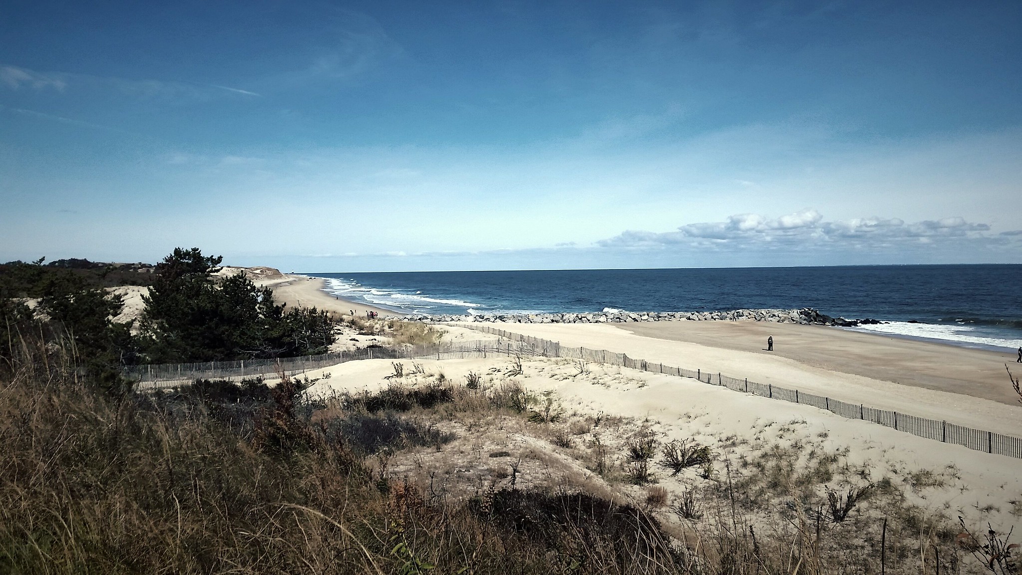 Looking north along the Atlantic Ocean beach at Cape Henlopen State Park.