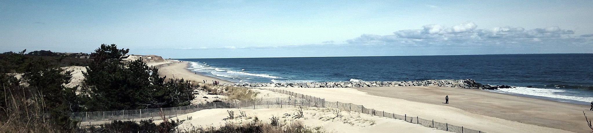 Looking north along the beach at Cape Henlopen State Park.