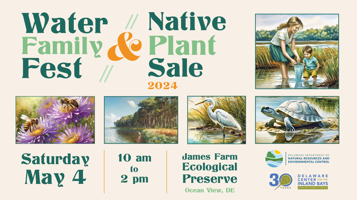 A composite graphic with images of wetlands and family fun and text announcing the Water Family Fest and Native Plant Sale on May 4, 2024. 