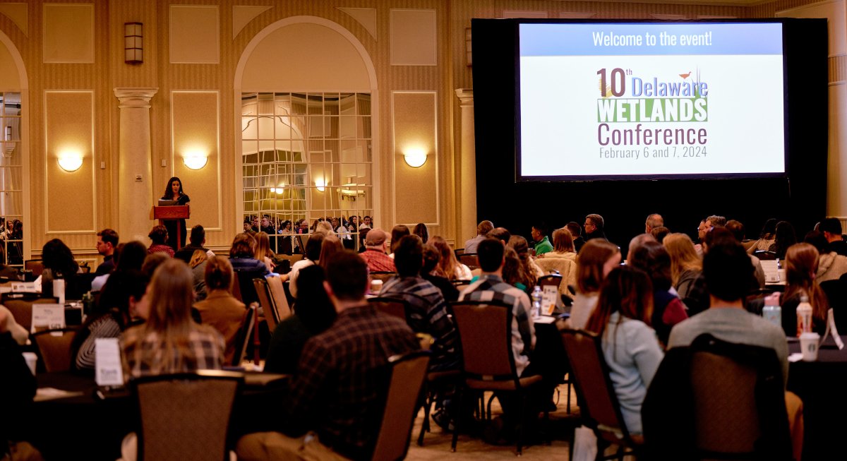 Plenary session of a professional conference. Attendees sit in a ballroom listening to a speaker.