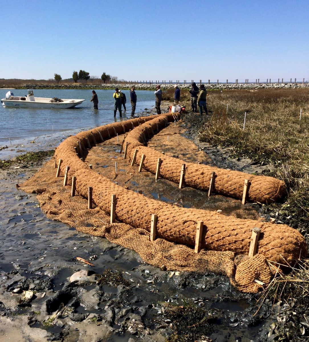 Components of a living shoreline retrofit are staked in place along a shoreline.