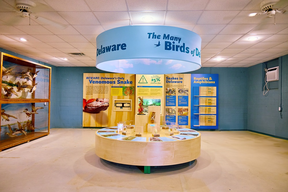 A display offers information on birds and snakes found in Delaware.