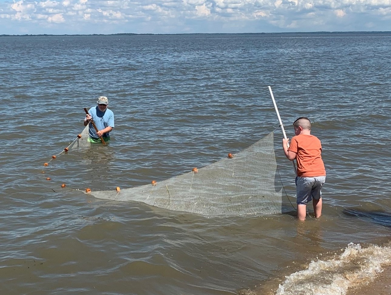 A child and an adult working a sein net in bay waters.