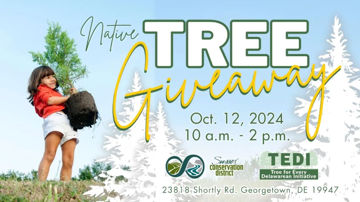 Graphic showing a child hefting a young tree that is ready to plant, with information advertising a tree giveaway event on October 12, 2024.