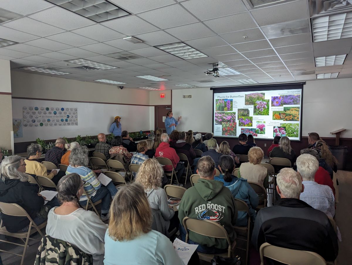 A large group of people seated in a darkened room watching a presentation on a screen.