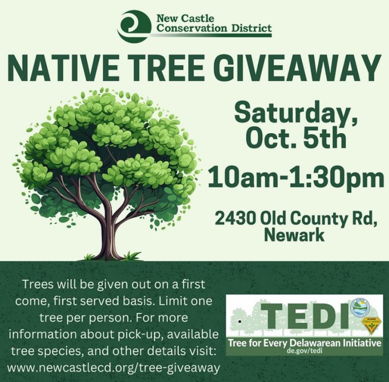 The New Castle Conservation District will give away 500 native trees