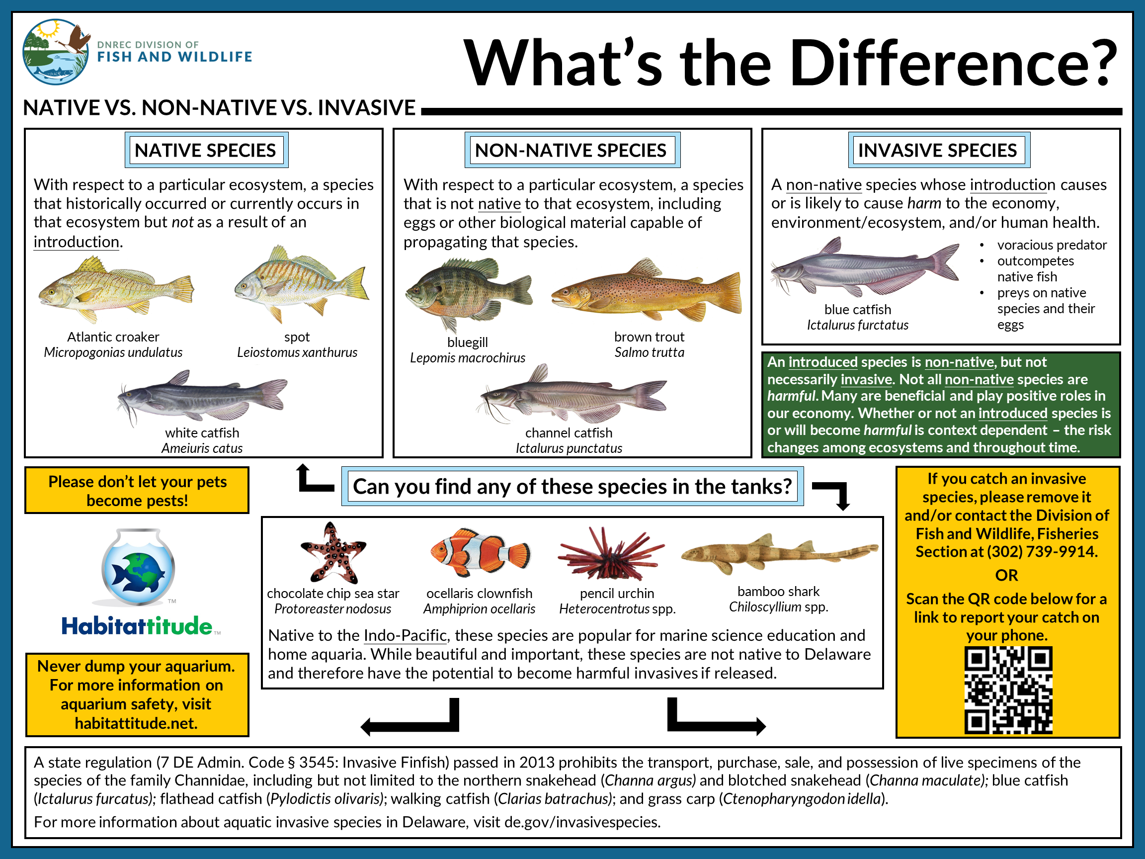 An infographic offers information on what constitutes an invasive aquatic species.